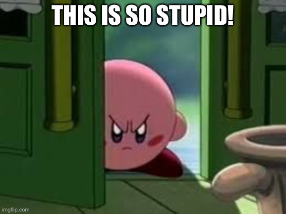 Pissed off Kirby | THIS IS SO STUPID! | image tagged in pissed off kirby | made w/ Imgflip meme maker