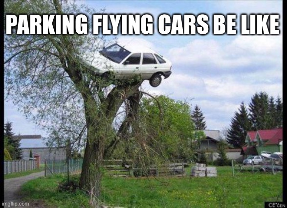 Maybe flying cars isn’t the greatest idea | PARKING FLYING CARS BE LIKE | image tagged in car in tree | made w/ Imgflip meme maker
