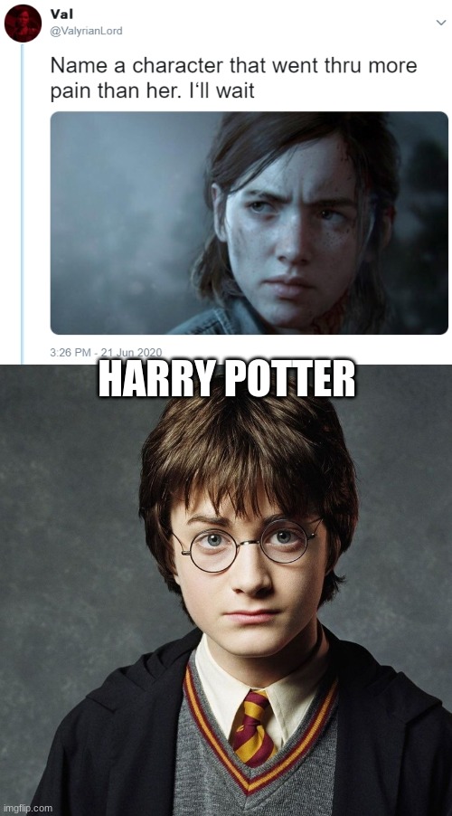HARRY POTTER | image tagged in name one character who went through more pain than her | made w/ Imgflip meme maker