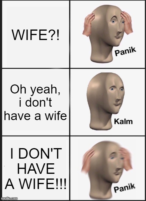 Panik Kalm Panik Meme | WIFE?! Oh yeah, i don't have a wife I DON'T HAVE A WIFE!!! | image tagged in memes,panik kalm panik | made w/ Imgflip meme maker