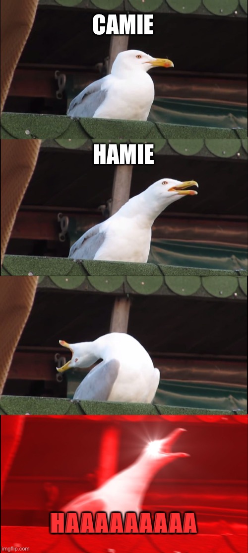 Inhaling Seagull | CAMIE; HAMIE; HAAAAAAAAA | image tagged in memes,inhaling seagull | made w/ Imgflip meme maker