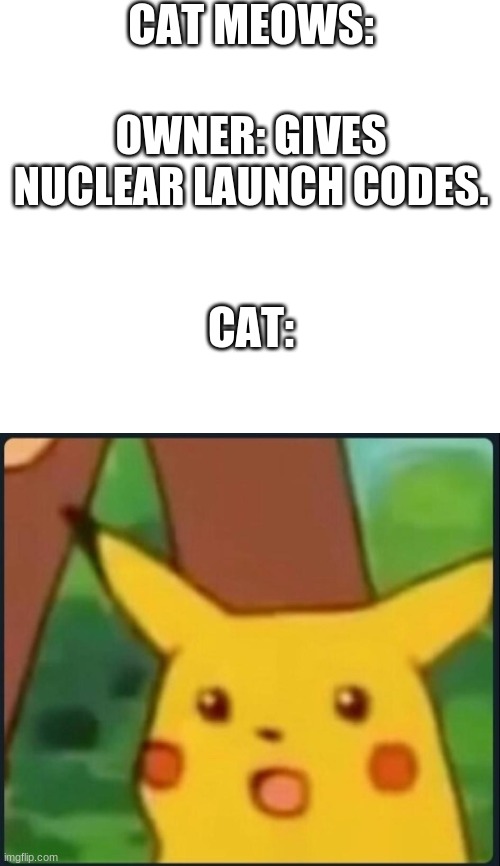 huh 2 | CAT MEOWS:; OWNER: GIVES NUCLEAR LAUNCH CODES. CAT: | image tagged in surprised pikachu | made w/ Imgflip meme maker