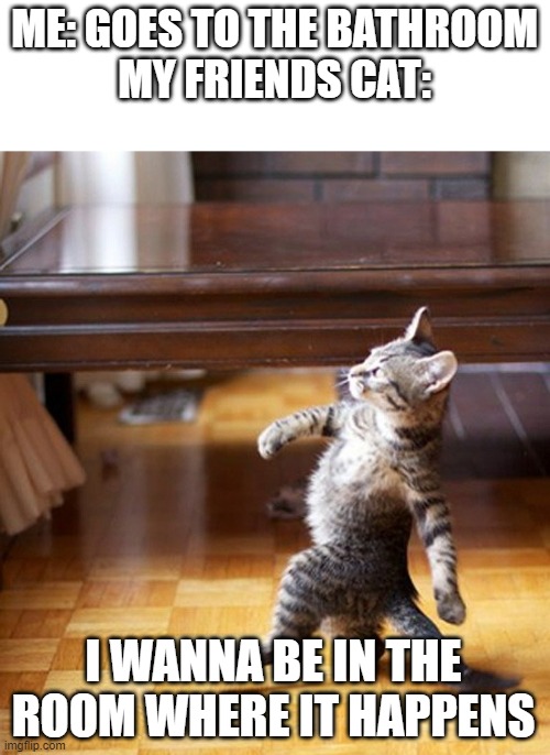 Cat Walking Like A Boss | ME: GOES TO THE BATHROOM
MY FRIENDS CAT:; I WANNA BE IN THE ROOM WHERE IT HAPPENS | image tagged in cat walking like a boss | made w/ Imgflip meme maker