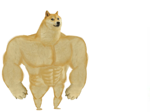High Quality Did you know mussel doge Blank Meme Template
