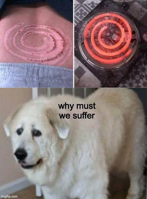 why must we suffer | made w/ Imgflip meme maker