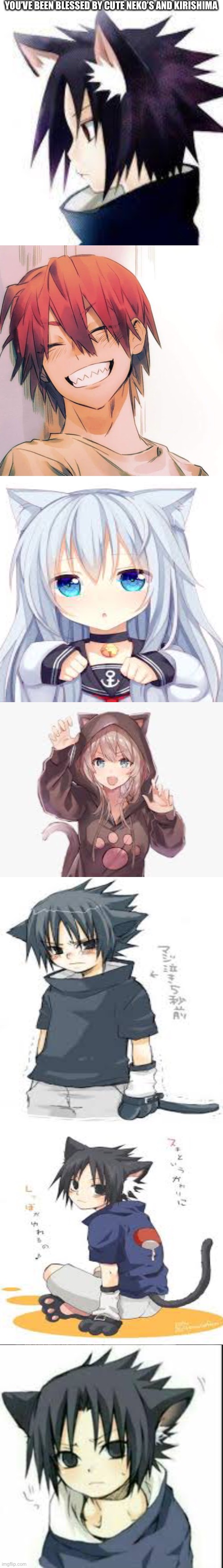 cover over with other pics and reuse this long template lots | YOU’VE BEEN BLESSED BY CUTE NEKO’S AND KIRISHIMA | made w/ Imgflip meme maker