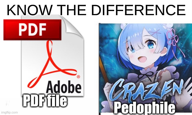 Google "GD Crazen" lol | KNOW THE DIFFERENCE; Pedophile; PDF file | image tagged in geometry dash,memes | made w/ Imgflip meme maker