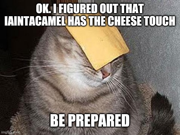 Cats with cheese | OK. I FIGURED OUT THAT IAINTACAMEL HAS THE CHEESE TOUCH; BE PREPARED | image tagged in cats with cheese | made w/ Imgflip meme maker