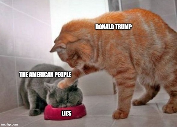 It's true though | DONALD TRUMP; THE AMERICAN PEOPLE; LIES | image tagged in force feed cat | made w/ Imgflip meme maker