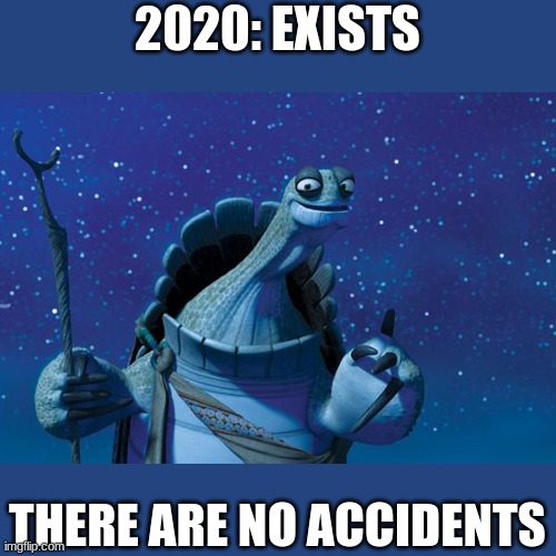 Accidents | 2020: EXISTS; THERE ARE NO ACCIDENTS | image tagged in master oogway | made w/ Imgflip meme maker