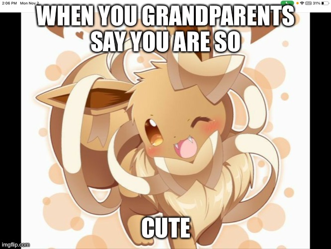 I love eevee | WHEN YOU GRANDPARENTS SAY YOU ARE SO; CUTE | image tagged in lol | made w/ Imgflip meme maker