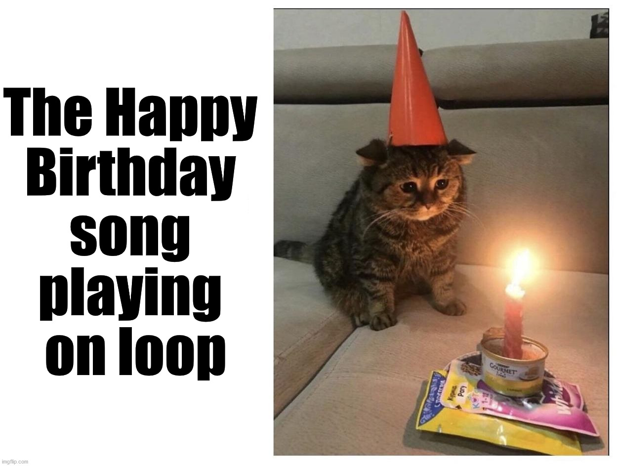 Cat looks so sad. | The Happy 
Birthday 
song 
playing 
on loop | image tagged in cats,sad cat | made w/ Imgflip meme maker
