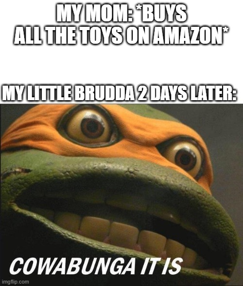 Amazon Toys Meme | MY MOM: *BUYS ALL THE TOYS ON AMAZON*; MY LITTLE BRUDDA 2 DAYS LATER: | image tagged in cowabunga it is,memes | made w/ Imgflip meme maker