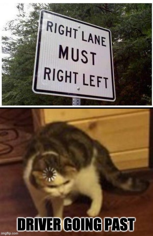 Um . | DRIVER GOING PAST | image tagged in loading cat | made w/ Imgflip meme maker