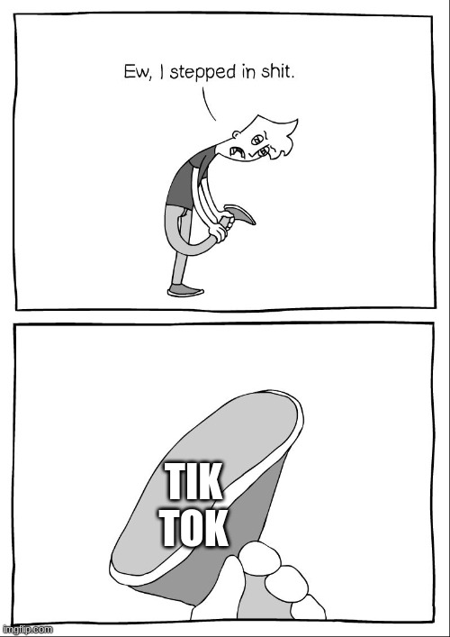 Ew, i stepped in shit | TIK TOK | image tagged in ew i stepped in shit | made w/ Imgflip meme maker