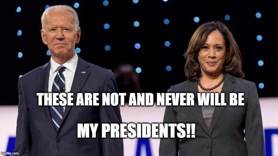 Biden Harris | THESE ARE NOT AND NEVER WILL BE; MY PRESIDENTS!! | image tagged in biden harris | made w/ Imgflip meme maker