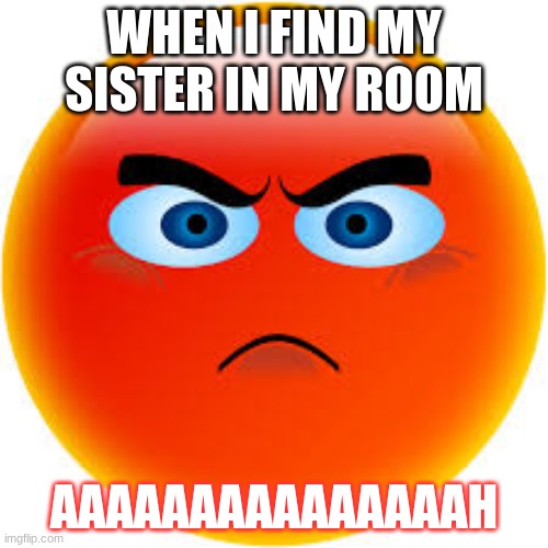 WHEN I FIND MY SISTER IN MY ROOM; AAAAAAAAAAAAAAAH | image tagged in mad face,funny | made w/ Imgflip meme maker