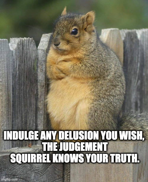 Judgement Squirrel | INDULGE ANY DELUSION YOU WISH, 
THE JUDGEMENT SQUIRREL KNOWS YOUR TRUTH. | image tagged in squirrel,judgement,comedy,truth | made w/ Imgflip meme maker