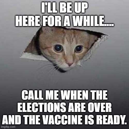 Ceiling Cat | I'LL BE UP HERE FOR A WHILE.... CALL ME WHEN THE ELECTIONS ARE OVER AND THE VACCINE IS READY. | image tagged in memes,ceiling cat | made w/ Imgflip meme maker