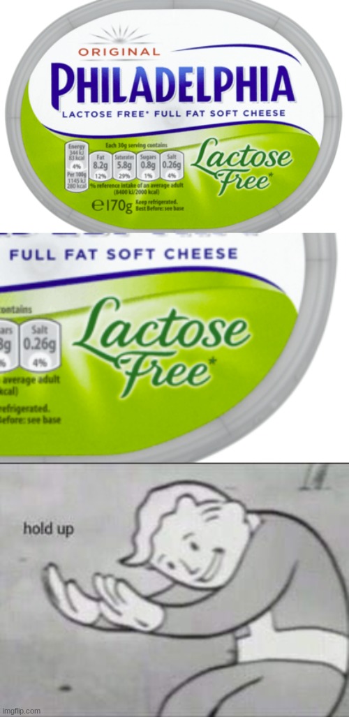 hold up what is this witchcraft | image tagged in fallout hold up,cheese,lactose intolerant | made w/ Imgflip meme maker