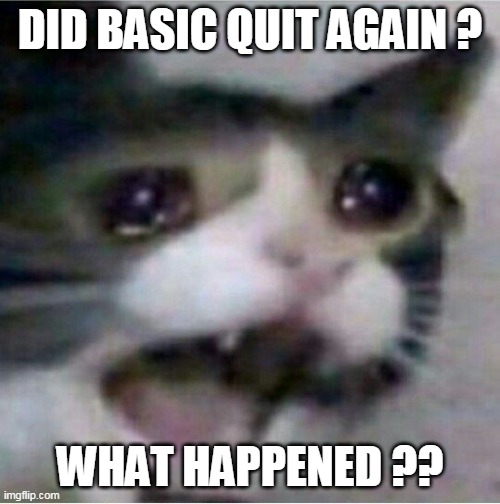 I WAS OFFLINE FOR 5 DAYS- | DID BASIC QUIT AGAIN ? WHAT HAPPENED ?? | image tagged in crying cat | made w/ Imgflip meme maker