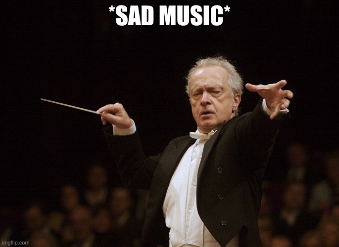 Cue the sad music | *SAD MUSIC* | image tagged in cue the sad music | made w/ Imgflip meme maker