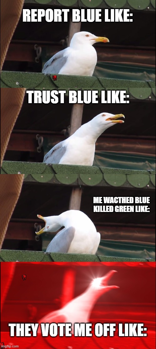 red is sus | REPORT BLUE LIKE:; TRUST BLUE LIKE:; ME WACTHED BLUE KILLED GREEN LIKE:; THEY VOTE ME OFF LIKE: | image tagged in memes,inhaling seagull | made w/ Imgflip meme maker