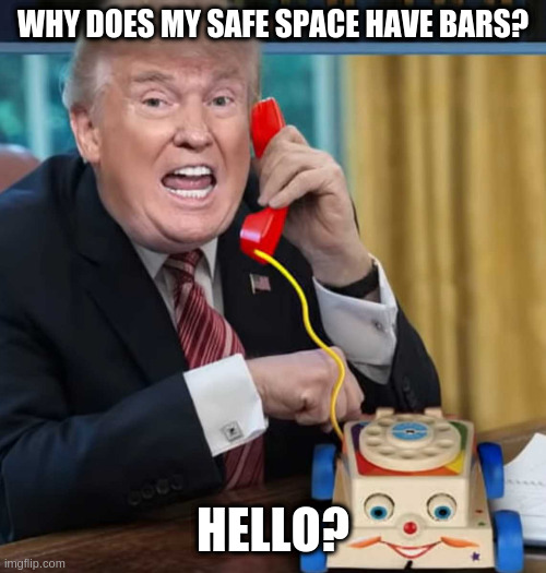 if he yells bring a pudding pop and an adderall | WHY DOES MY SAFE SPACE HAVE BARS? HELLO? | image tagged in i'm the president,prison,trump | made w/ Imgflip meme maker