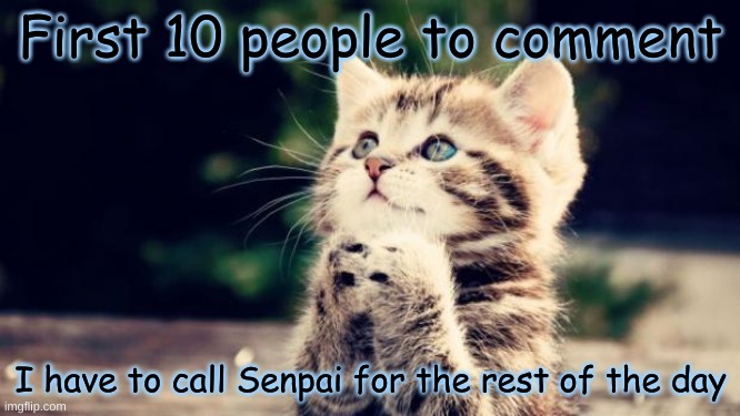 I'm going to regret this so fuçking much TvT | First 10 people to comment; I have to call Senpai for the rest of the day | image tagged in cute kitten | made w/ Imgflip meme maker