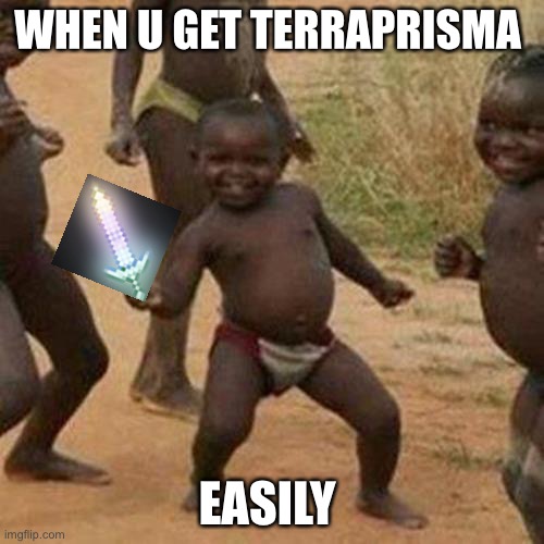 Terraria memes 4 | WHEN U GET TERRAPRISMA; EASILY | image tagged in memes,third world success kid | made w/ Imgflip meme maker