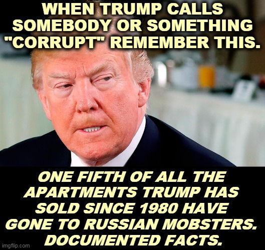 Putin's mafia loved Trump because he took their dirty money and never asked questions, even with all-cash transactions. | WHEN TRUMP CALLS SOMEBODY OR SOMETHING "CORRUPT" REMEMBER THIS. ONE FIFTH OF ALL THE 
APARTMENTS TRUMP HAS 
SOLD SINCE 1980 HAVE 
GONE TO RUSSIAN MOBSTERS. 
DOCUMENTED FACTS. | image tagged in trump lip curl as his world goes to shit,trump,corrupt,russia,mafia | made w/ Imgflip meme maker