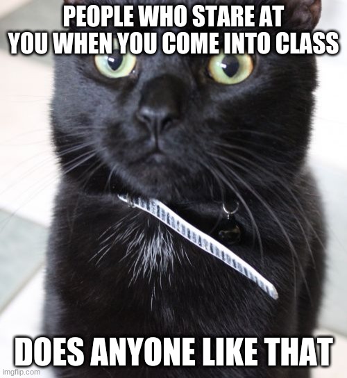 Woah Kitty | PEOPLE WHO STARE AT YOU WHEN YOU COME INTO CLASS; DOES ANYONE LIKE THAT | image tagged in memes,woah kitty | made w/ Imgflip meme maker