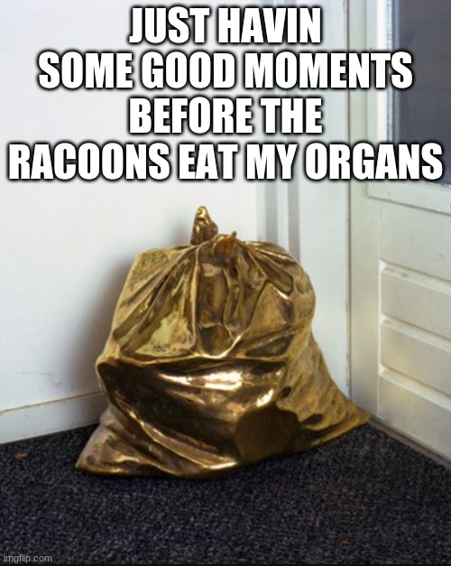 thats sad | JUST HAVIN SOME GOOD MOMENTS BEFORE THE RACOONS EAT MY ORGANS | image tagged in golden garbage | made w/ Imgflip meme maker