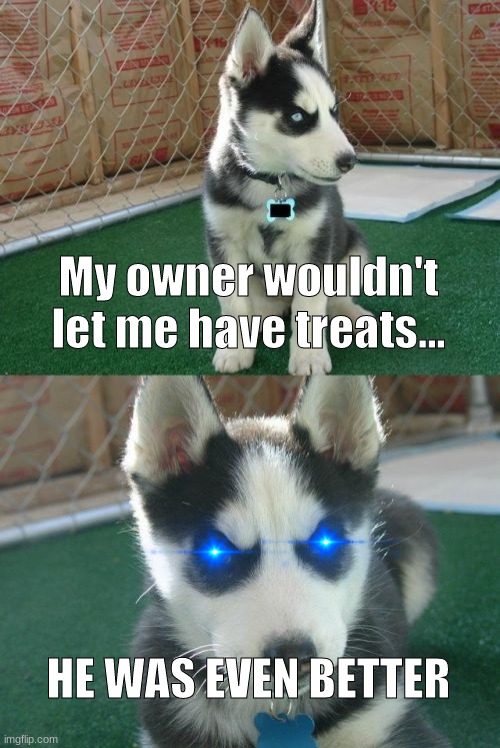 .,. |  My owner wouldn't let me have treats... HE WAS EVEN BETTER | image tagged in memes,insanity puppy,treats,savage,smoketheskynightwing | made w/ Imgflip meme maker