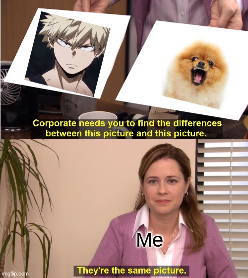 They're The Same Picture | Me | image tagged in memes,they're the same picture,bnha | made w/ Imgflip meme maker