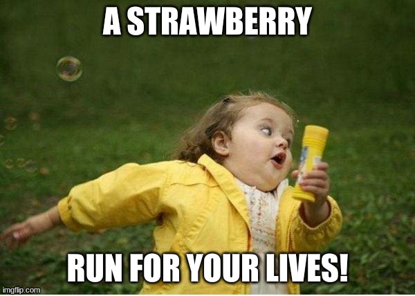 run for your lives! | A STRAWBERRY; RUN FOR YOUR LIVES! | image tagged in memes,chubby bubbles girl,strawberry | made w/ Imgflip meme maker