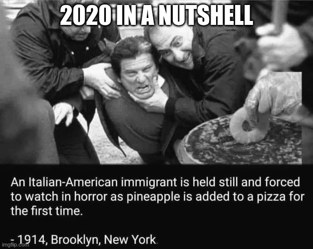 The sheer horror on that mans face | 2020 IN A NUTSHELL | image tagged in memes | made w/ Imgflip meme maker