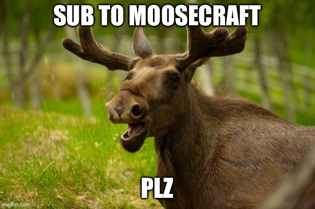 Bad Pun Moose | SUB TO MOOSECRAFT; PLZ | image tagged in bad pun moose | made w/ Imgflip meme maker