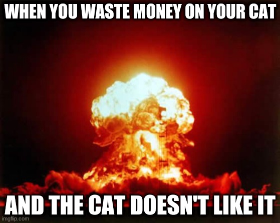 Nuclear Explosion | WHEN YOU WASTE MONEY ON YOUR CAT; AND THE CAT DOESN'T LIKE IT | image tagged in memes,nuclear explosion | made w/ Imgflip meme maker