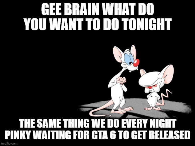 Pinky And The Brain | GEE BRAIN WHAT DO YOU WANT TO DO TONIGHT; THE SAME THING WE DO EVERY NIGHT PINKY WAITING FOR GTA 6 TO GET RELEASED | image tagged in pinky and the brain,memes | made w/ Imgflip meme maker