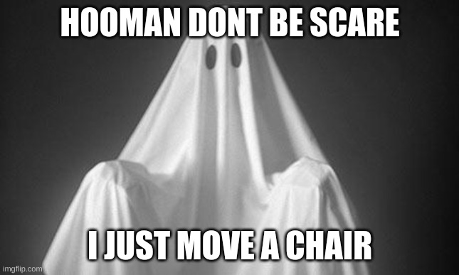 Ghost | HOOMAN DONT BE SCARE I JUST MOVE A CHAIR | image tagged in ghost | made w/ Imgflip meme maker