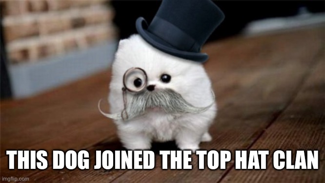 Top Hat Gang | THIS DOG JOINED THE TOP HAT CLAN | image tagged in top hat gang | made w/ Imgflip meme maker