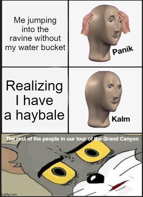 Ravine | Me jumping into the ravine without my water bucket; Realizing I have a haybale; The rest of the people in our tour of the Grand Canyon | image tagged in memes,panik kalm panik,unsettled tom | made w/ Imgflip meme maker