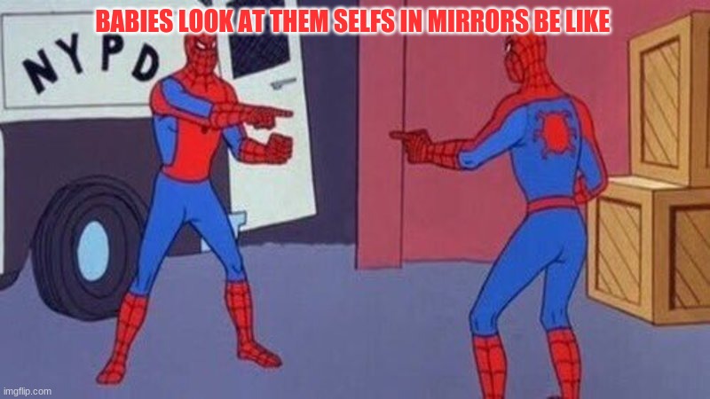 spiderman pointing at spiderman | BABIES LOOK AT THEM SELFS IN MIRRORS BE LIKE | image tagged in spiderman pointing at spiderman | made w/ Imgflip meme maker