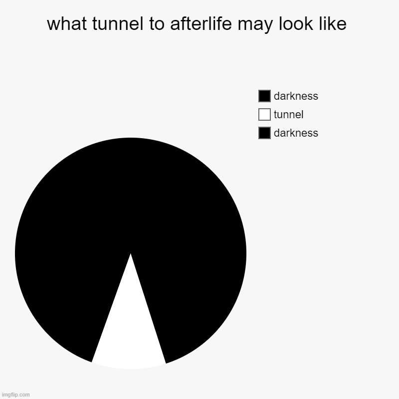 what tunnel to afterlife may look like | darkness, tunnel, darkness | image tagged in charts,pie charts | made w/ Imgflip chart maker