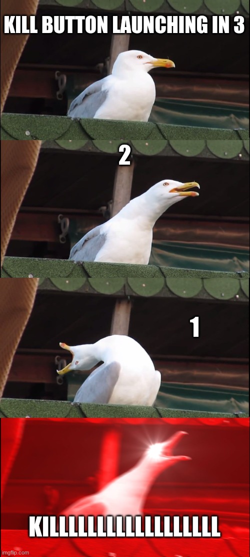 Inhaling Seagull Meme | KILL BUTTON LAUNCHING IN 3; 2; 1; KILLLLLLLLLLLLLLLLLL | image tagged in memes,inhaling seagull | made w/ Imgflip meme maker