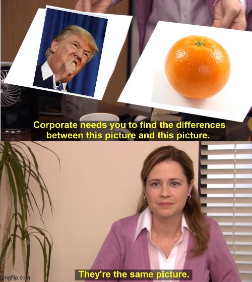 Trump is a what??? | image tagged in memes,they're the same picture,orange,trump | made w/ Imgflip meme maker