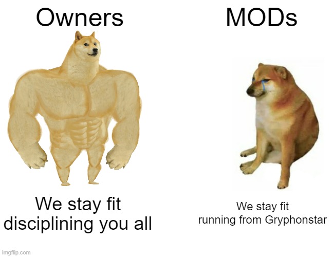 Buff Doge vs. Cheems | Owners; MODs; We stay fit disciplining you all; We stay fit running from Gryphonstar | image tagged in memes,buff doge vs cheems | made w/ Imgflip meme maker