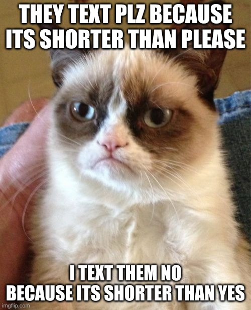 Grumpy Cat | THEY TEXT PLZ BECAUSE ITS SHORTER THAN PLEASE; I TEXT THEM NO BECAUSE ITS SHORTER THAN YES | image tagged in memes,grumpy cat | made w/ Imgflip meme maker