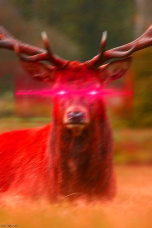 Angry deer | image tagged in deer begone thot | made w/ Imgflip meme maker